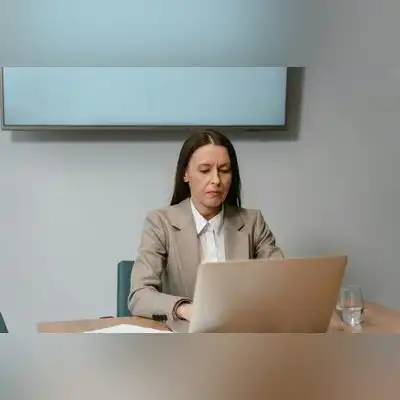 柳栖梧
